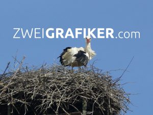 Die Störche in Dorfen
